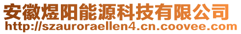 安徽煜陽能源科技有限公司