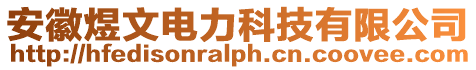 安徽煜文電力科技有限公司