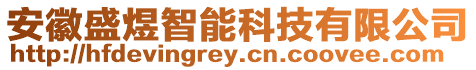 安徽盛煜智能科技有限公司