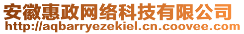 安徽惠政網(wǎng)絡科技有限公司