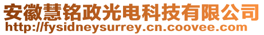 安徽慧銘政光電科技有限公司