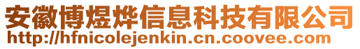 安徽博煜燁信息科技有限公司