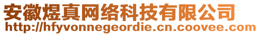 安徽煜真網絡科技有限公司