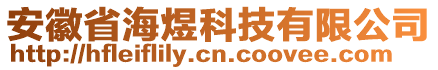 安徽省海煜科技有限公司
