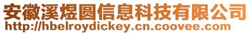 安徽溪煜圓信息科技有限公司