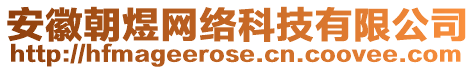 安徽朝煜網(wǎng)絡(luò)科技有限公司