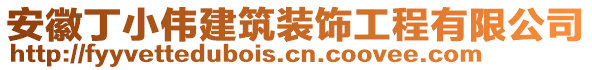 安徽丁小偉建筑裝飾工程有限公司