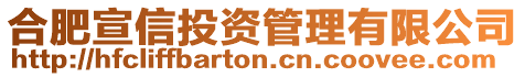 合肥宣信投資管理有限公司