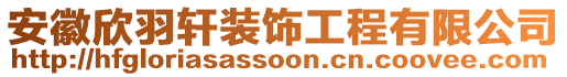 安徽欣羽軒裝飾工程有限公司