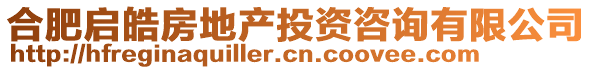 合肥啟皓房地產(chǎn)投資咨詢有限公司