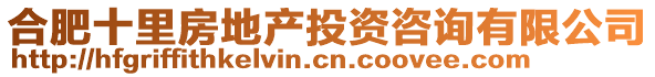 合肥十里房地產(chǎn)投資咨詢有限公司