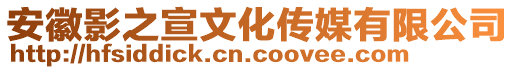 安徽影之宣文化傳媒有限公司