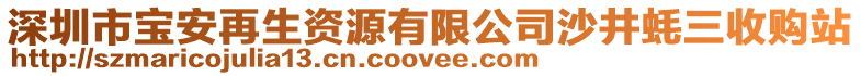 深圳市寶安再生資源有限公司沙井蠔三收購站