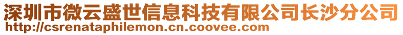 深圳市微云盛世信息科技有限公司長沙分公司