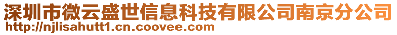 深圳市微云盛世信息科技有限公司南京分公司