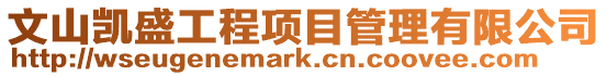 文山凱盛工程項目管理有限公司