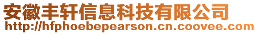 安徽豐軒信息科技有限公司