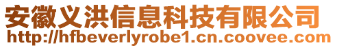 安徽義洪信息科技有限公司