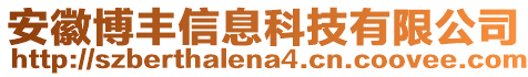 安徽博豐信息科技有限公司