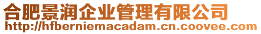 合肥景潤(rùn)企業(yè)管理有限公司