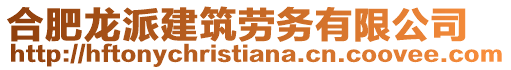 合肥龍派建筑勞務有限公司