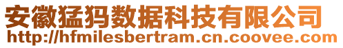 安徽猛犸數(shù)據(jù)科技有限公司