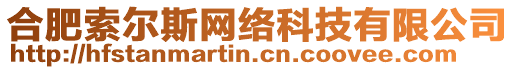 合肥索爾斯網(wǎng)絡(luò)科技有限公司