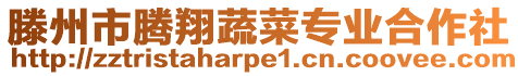 滕州市騰翔蔬菜專業合作社