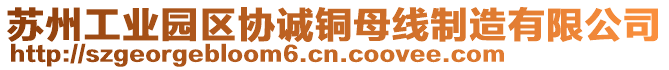 蘇州工業(yè)園區(qū)協(xié)誠銅母線制造有限公司