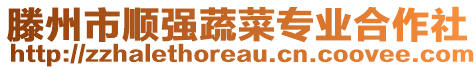 滕州市順強(qiáng)蔬菜專業(yè)合作社