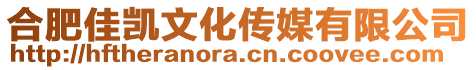 合肥佳凱文化傳媒有限公司