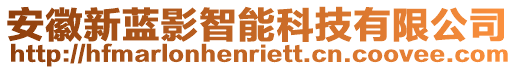 安徽新藍(lán)影智能科技有限公司