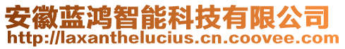 安徽藍鴻智能科技有限公司