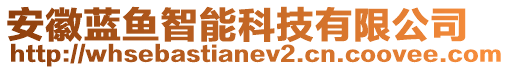 安徽藍(lán)魚智能科技有限公司