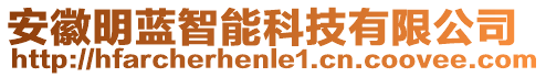 安徽明藍(lán)智能科技有限公司