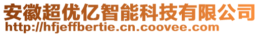 安徽超優(yōu)億智能科技有限公司