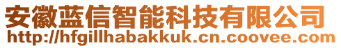 安徽藍信智能科技有限公司