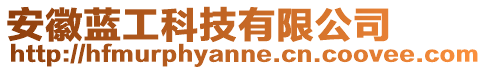 安徽藍(lán)工科技有限公司