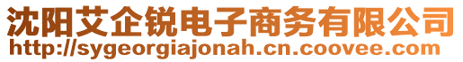 沈陽艾企銳電子商務(wù)有限公司