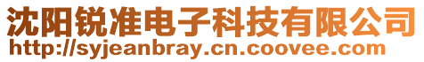 沈陽銳準(zhǔn)電子科技有限公司