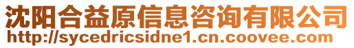 沈陽合益原信息咨詢有限公司