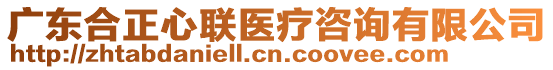 廣東合正心聯(lián)醫(yī)療咨詢有限公司