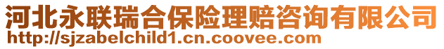 河北永聯(lián)瑞合保險理賠咨詢有限公司