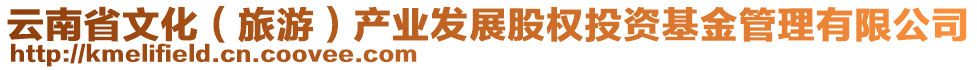 云南省文化（旅游）產(chǎn)業(yè)發(fā)展股權投資基金管理有限公司