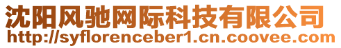 沈陽風(fēng)馳網(wǎng)際科技有限公司