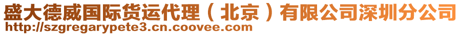 盛大德威國際貨運代理（北京）有限公司深圳分公司