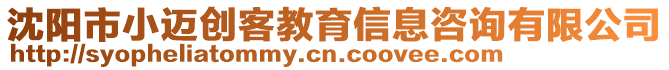 沈陽市小邁創(chuàng)客教育信息咨詢有限公司