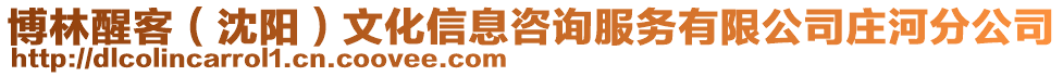 博林醒客（沈陽）文化信息咨詢服務(wù)有限公司莊河分公司