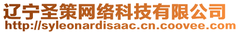 遼寧圣策網(wǎng)絡(luò)科技有限公司