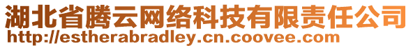 湖北省騰云網絡科技有限責任公司
